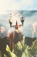 Washington, Iowa Multiple Exposure