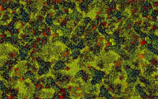 Initial phase variance