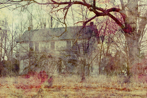 Abandoned House