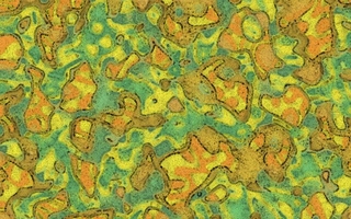 unity without balance