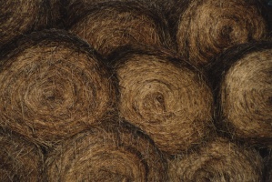 Haybales