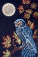 Autumnal Owl