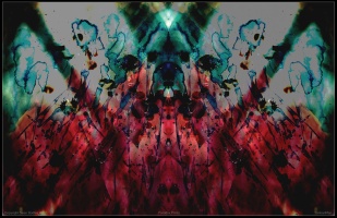 On Grounds of The Neutral Violent