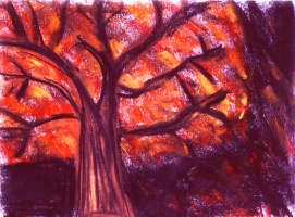 Tree Fire