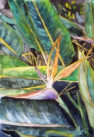 Bird of Paradise flower painting