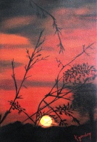 Rosinas Templestowe- Sunset