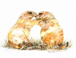 kissing  prarie dogs 