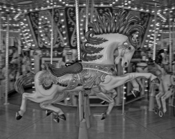 Horses Go Round
