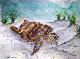 Sea Turtle 2