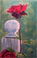 White Post and Red Rose