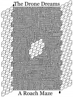 The Drone Dreams