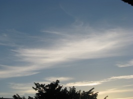 Migty Nature by igirex08