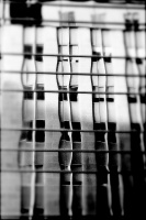 Reflection: the reflection of light