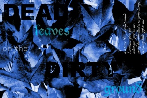 dead leaves