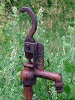 No Water Anymore Rusted In Place In