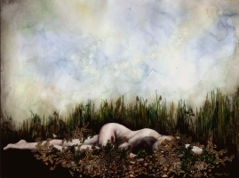 The Hungarian Fallow