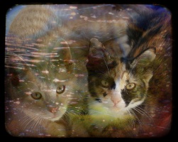 My Sister, My Brother