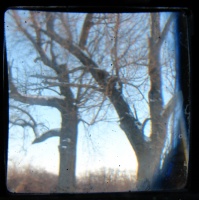 Winter 8 TTV