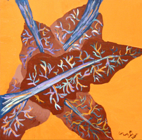 Red brown and purple