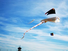 Kites