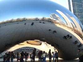 The Bean