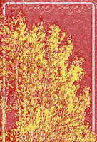 Yellow Leaves on Tree