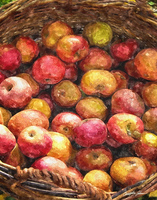 Apple Basket 1