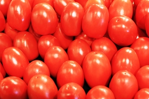 Tomatoes