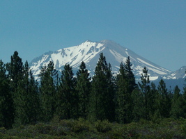 Mount Shasta