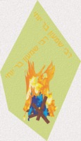 Lag BOmer Bonfire
