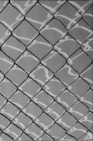 Other Side of the Fence