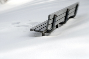 bench