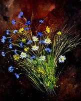 wild flowers 561160