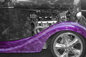 Purple Fender