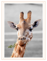 Hey...What was that?