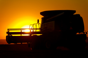 Wheat Harvest
