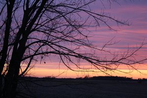 Kansas Sunset