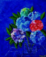 Hydrangeas 56