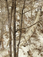 Swinging Bridge CJ,IA