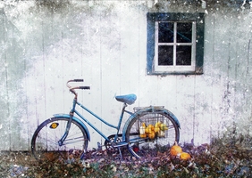Autumn Bicycle