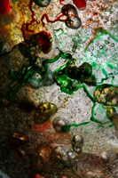 Abstract Ice & Color