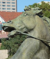 Plaza Horse