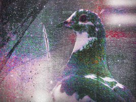 friend at the window