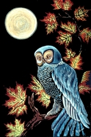 autumnal owl