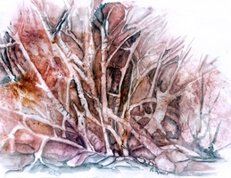 last glimpse of autumn