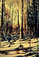 Aspen Grove Sunrise