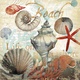 Title: Shell Collector1- art licensing