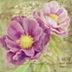 Title: Peony Garden II- art licensing