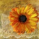 Title: Gerbera Francaise- art licensing