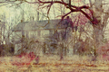 Title: Abandoned House